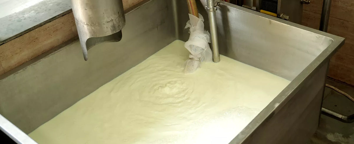 Milk Collection