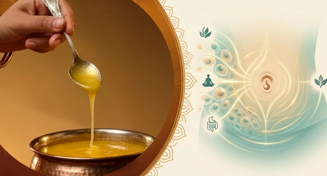 Benefits of Applying Ghee in the Navel: Ancient Wellness Practice Explained