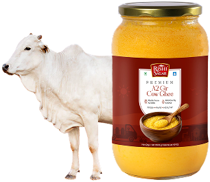 A2 Gir Cow Ghee