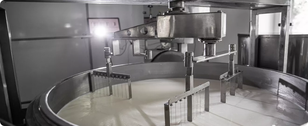 Pasteurisation & Churning